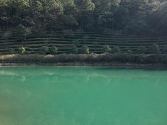-九龙潭景区