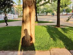 -西安电影制片厂