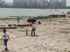 -九龙湖公园