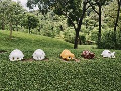 -云溪植物园