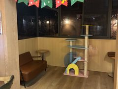 -MOCHA明星猫咖(田子坊店)