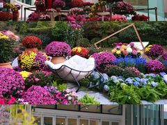 -云溪植物园