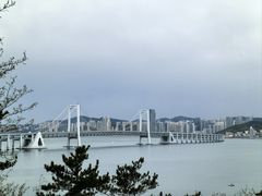 -星海湾跨海大桥