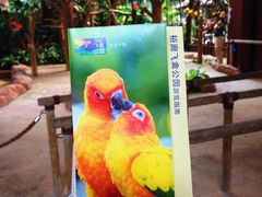 -新加坡飞禽公园