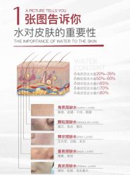 点击看大图 -玛莲朵·海菲秀冰珀科