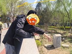 -大兴滨河森林公园