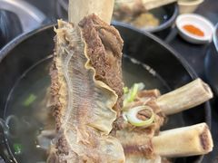 -莲洞本家