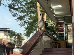 -黄连大头华烧鹅(萧地大马路店)