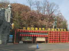 -栾川竹海野生动物园