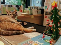 -猫的天空之城概念书店(杭州南宋御街店)