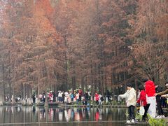 -重庆彩云湖湿地公园