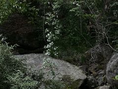 -苍龙峡风景区