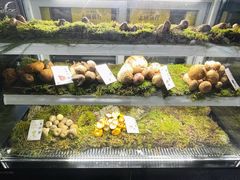 -滇野云南野生菌餐厅(陕西南路店)