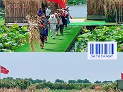 -洪湖生态旅游区