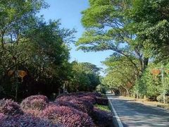 -福建鲤鱼洲酒店