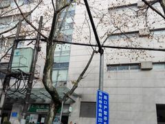 -上海交通大学医学院附属瑞金医院(总院)