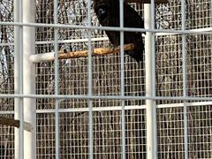 -秦皇岛野生动物园