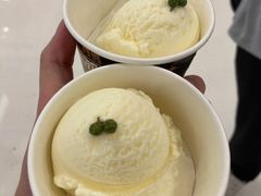 花椒冰淇淋-烤匠麻辣烤鱼(万象城店)
