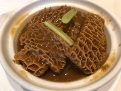 银罗金钱肚-利苑酒家(合景国际金融广场店)