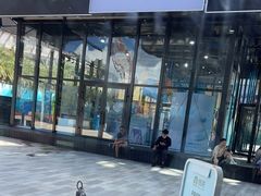 -星巴克(三亚海棠湾国际免税城店)