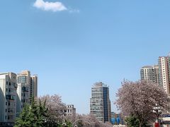 -金城公园