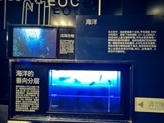 -同济大学四平路校区深海探索馆