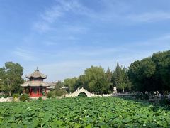 -莲池书院博物馆