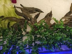 -银鲨海鲜烤肉火锅自助餐厅(五星店)