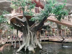 -南宫五洲植物乐园