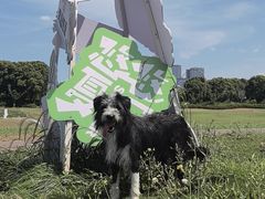 -苏州湾体育公园