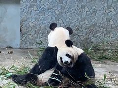 -西安秦岭野生动物园