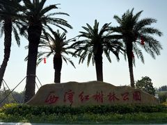 -宝安西湾红树林湿地公园