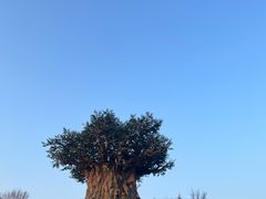 -郑州银基国际旅游度假区