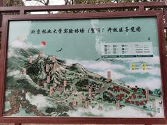 -北京鹫峰国家森林公园