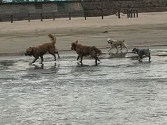 -嵊泗基湖沙滩
