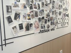 -瑞派·关忠动物医院·猫专科·犬专科(三环新城店)