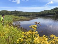 -五营红松林海景区