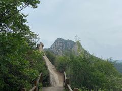 -大岭沟猕猴桃谷风景区
