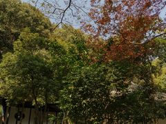 -穹窿山景区