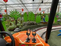 -南宫五洲植物乐园