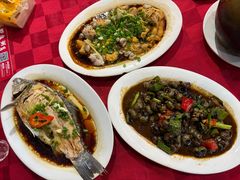 -先鲜鲫鱼粥