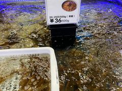 -盒马X会员店(上海森兰商都店)