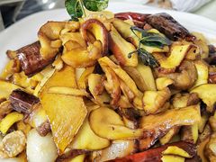 -双喜农庄·菌香园(安居家园店)