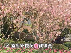 -华亭宾馆