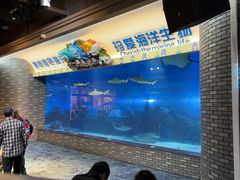 -成都浩海立方海洋公园