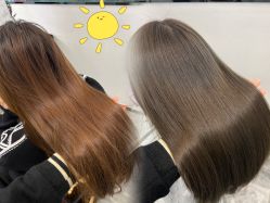 -IP SALON
