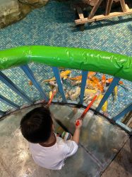 -酷嗒动物文化乐园(cutezoo西溪乐天城店)