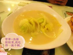 魚湯娃娃菜-翠华餐厅