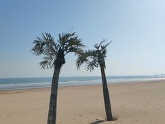 -日照海滨国家森林公园