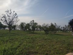 -汉长安城未央宫国家考古遗址公园